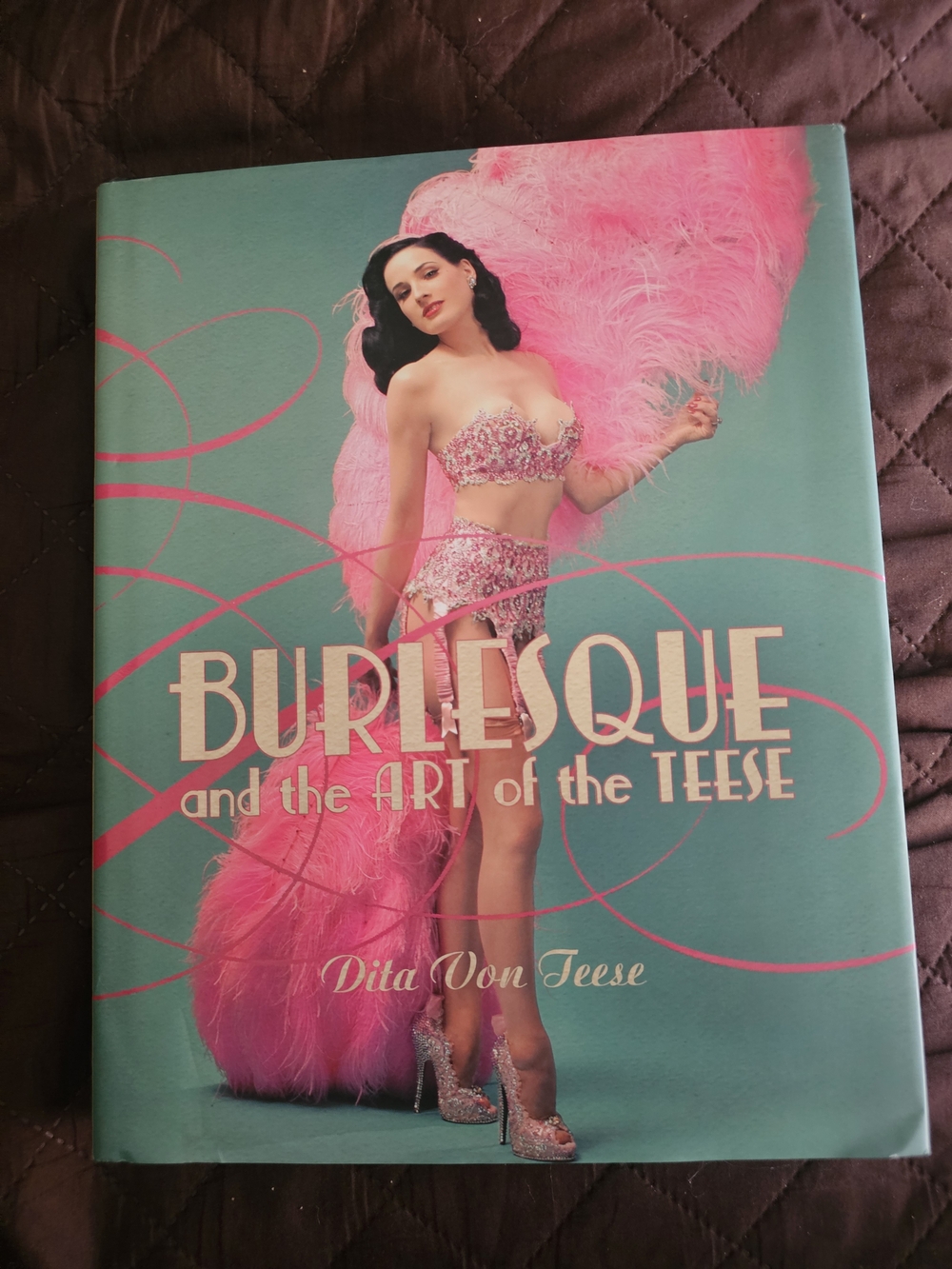 Burlesque and the Art of the Teese – Teal & Pink Decorative Art Print